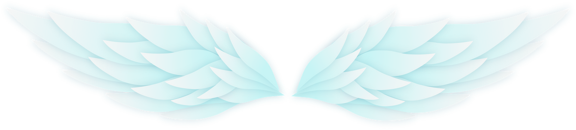 Wings Icon